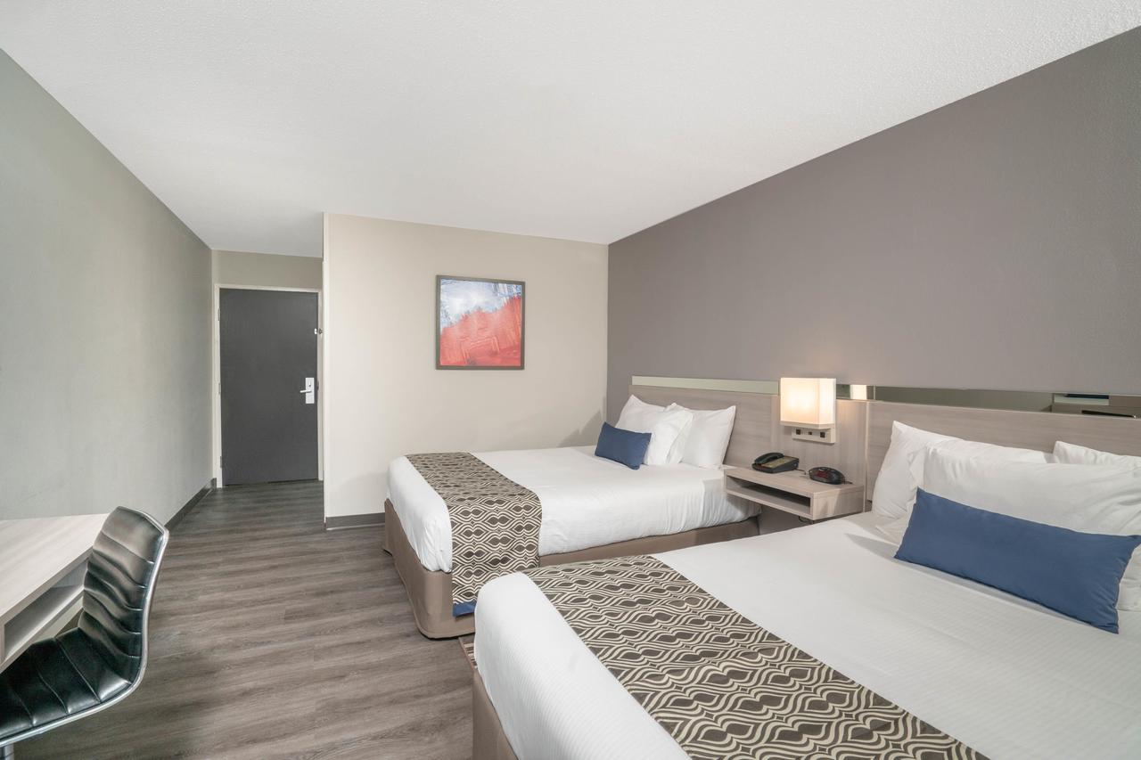 Microtel Inn & Suites By Wyndham נאשוויל מראה חיצוני תמונה